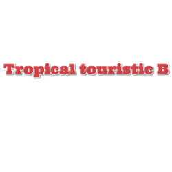 Tropical touristic B: Groove & Roots (Kompa . Gouye Kompa . Semba .  Zouk beton . Zouk retro)